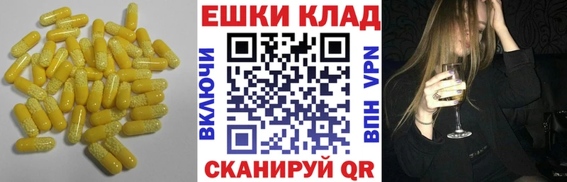 ЭКСТАЗИ Philipp Plein Купить закладки Орлов
